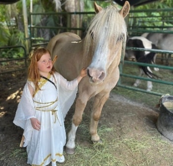 Young rider holding a bay horse with a grooming brush