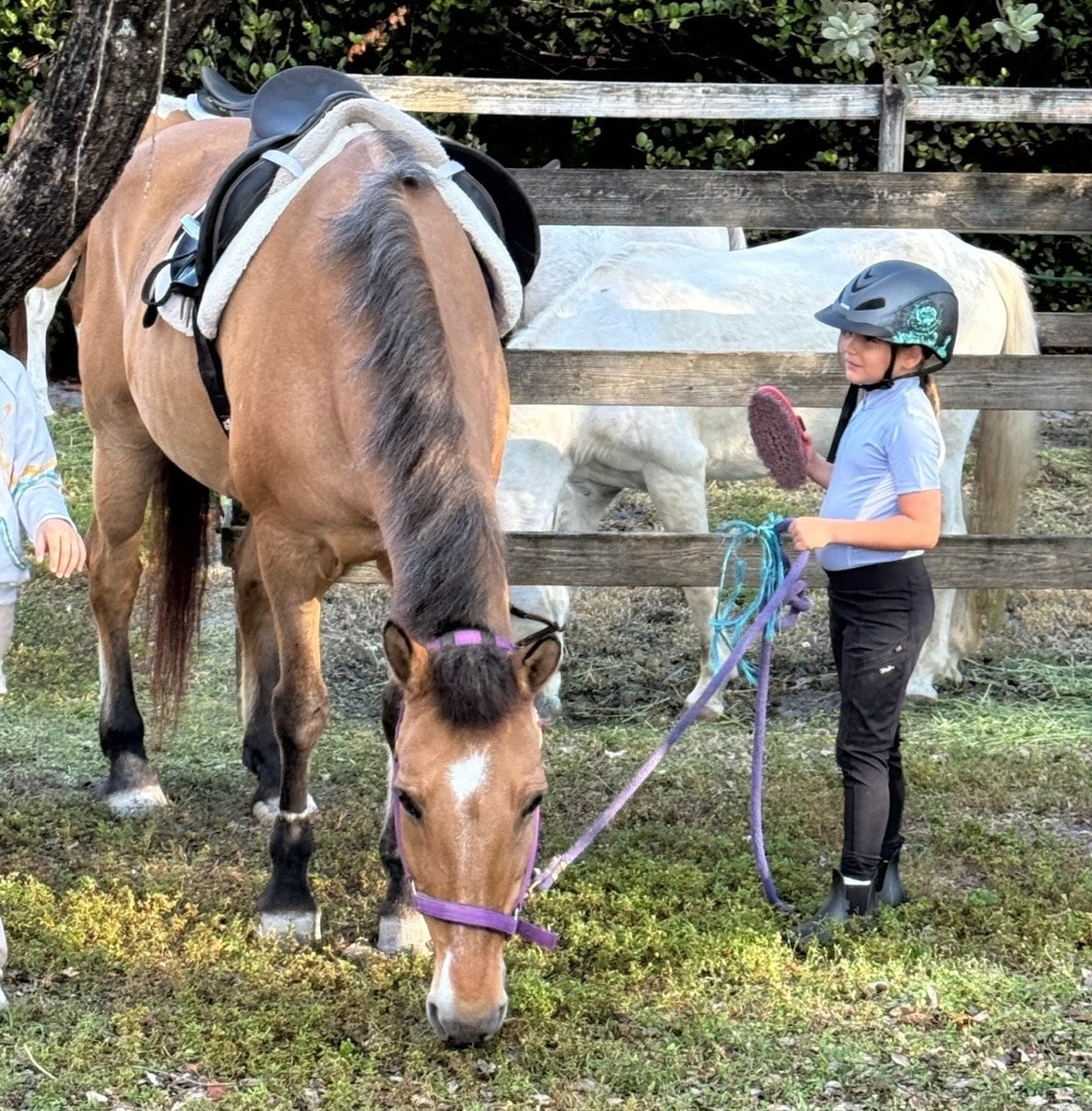 Smiling rider on a white horse at an equestrian show