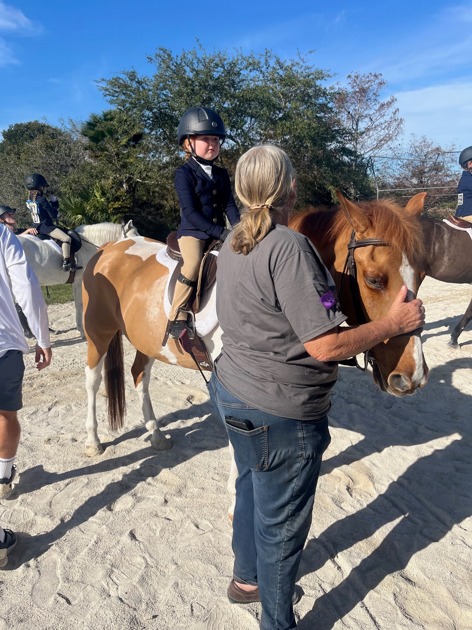 Child grooming a horse