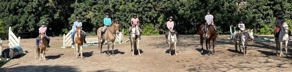 Group riding lesson in the arena
