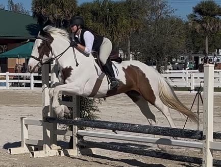 Rider jumping a fence obstacle