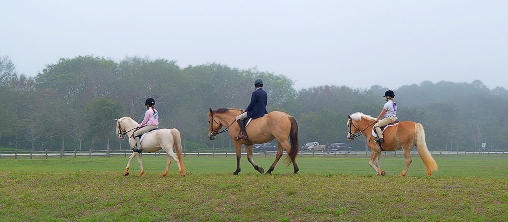 Three equestrian riders in an open field